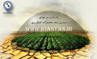 یک بام و دو هوای صندوق بیمه محصولات کشاورزی