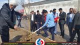 توزیع و کاشت بیش از 6 هزار و 500 اصله نهال در آستانه‌اشرف